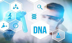 安顺哪个医院可以做DNA鉴定，安顺医院做DNA鉴定办理流程